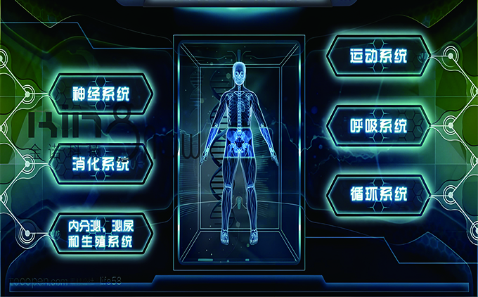 人(rén)體(tǐ)導診系統